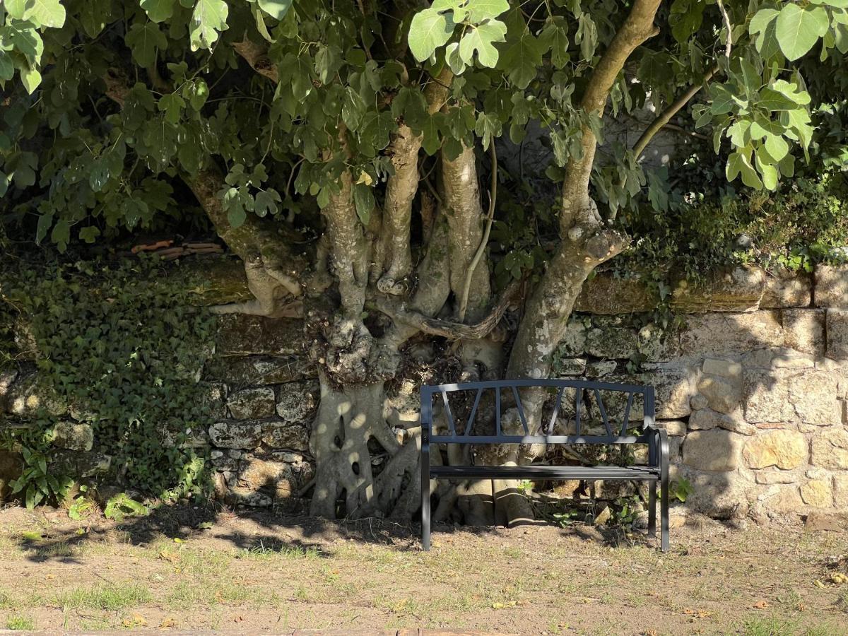 Gite Avec Piscine, Chateau De Lescours, St-Emilion Saint-Sulpice-de-Faleyrens Exterior foto